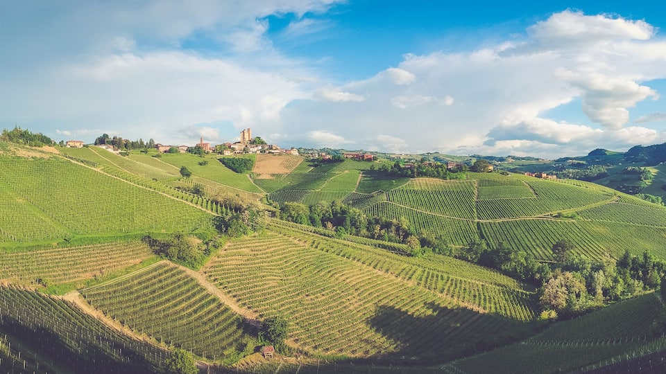 Terraced vineyards, rolling hills, and a distant town with a prominent tower.