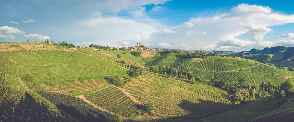 Terraced vineyards, rolling hills, and a distant town with a prominent tower.
