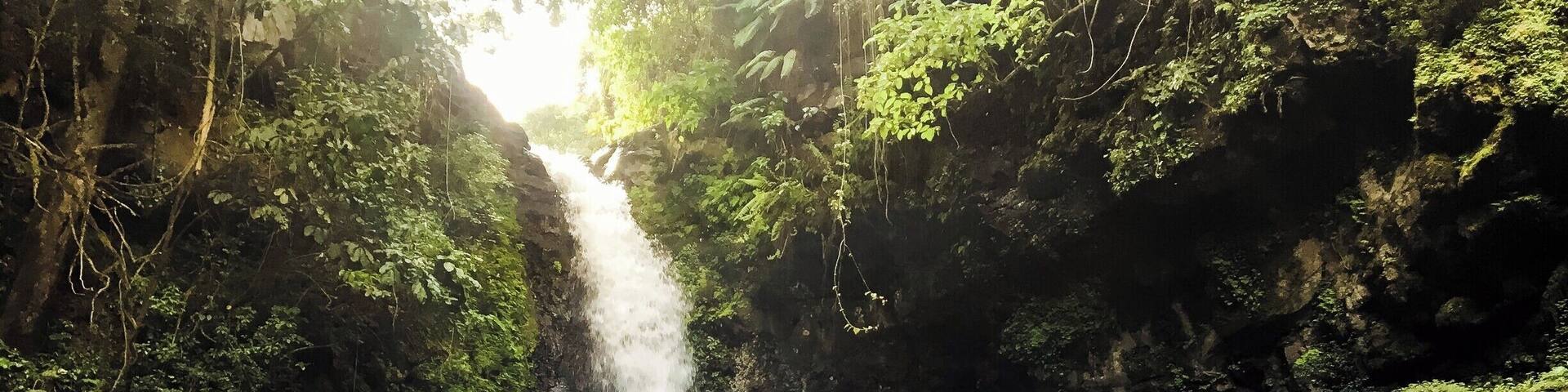 Outside of Moshi you can find some great waterfalls. You do have to pay a small amount to hike down, but there were very few tourists here and the waterfall was clean. You can relax and swim in the nearby pools.
