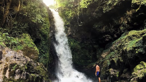 Outside of Moshi you can find some great waterfalls. You do have to pay a small amount to hike down, but there were very few tourists here and the waterfall was clean. You can relax and swim in the nearby pools.