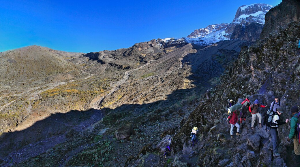 Climbing group on the Barranco Wall section of the Machame Route on Mt. Kilimanjaro.