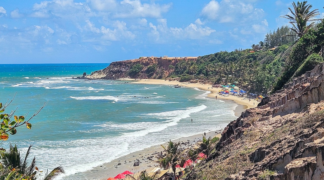 view from the beach praia do amor, tibau do sul, rio Grande do norte, brasil
