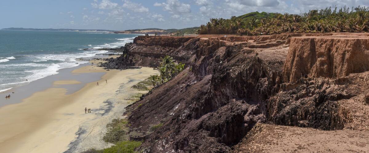 A coastal landscape with a sandy beach, rocky cliffs, and palm trees.