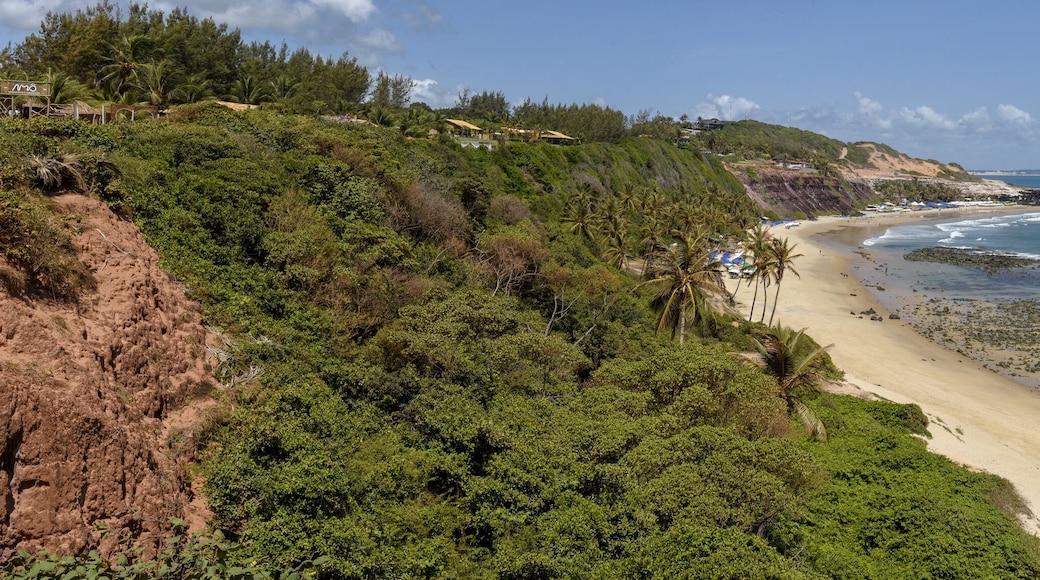Beautiful beach of Praia do Amor near Pipa, Brazil
