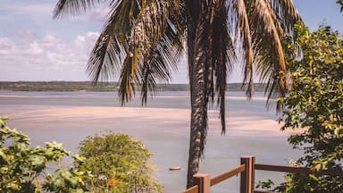 Timbau do Sul • Brasil - Wake up and see this... #brasil #pipa #beach #love