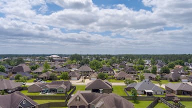 A suburban neighborhood with houses, a large building in the distance, and a cloudy sky.