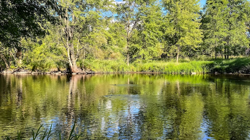A calm river surrounded by dense green trees and clear water reflecting the sky.