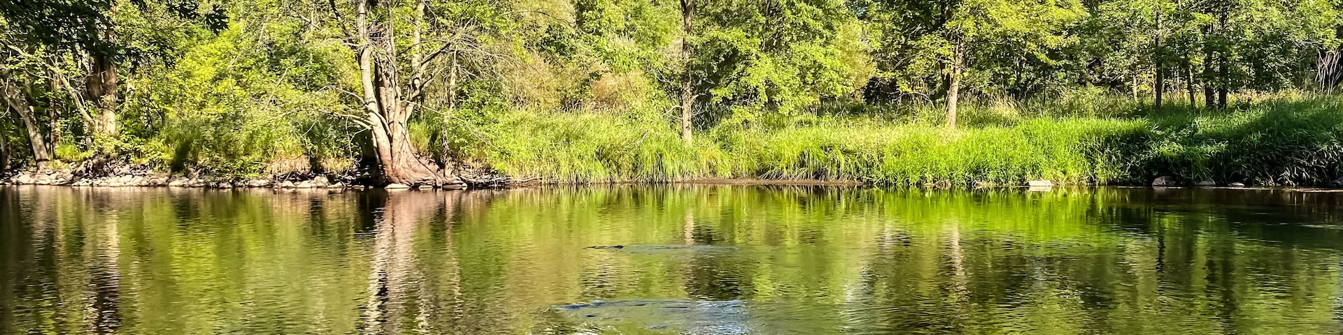 Little Wolf River in Symco Wisconsin on a Summer Day