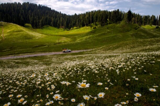 #TroveOn Blooming fields in Gulmarg

A late summer visit showed us a rare green side of Gulmarg, which is otherwise covered in snow. The lush green meadows are covered with flowers and a variety of butterflies fluttering around them.
http://sandeepachetan.com/tag/gulmarg/