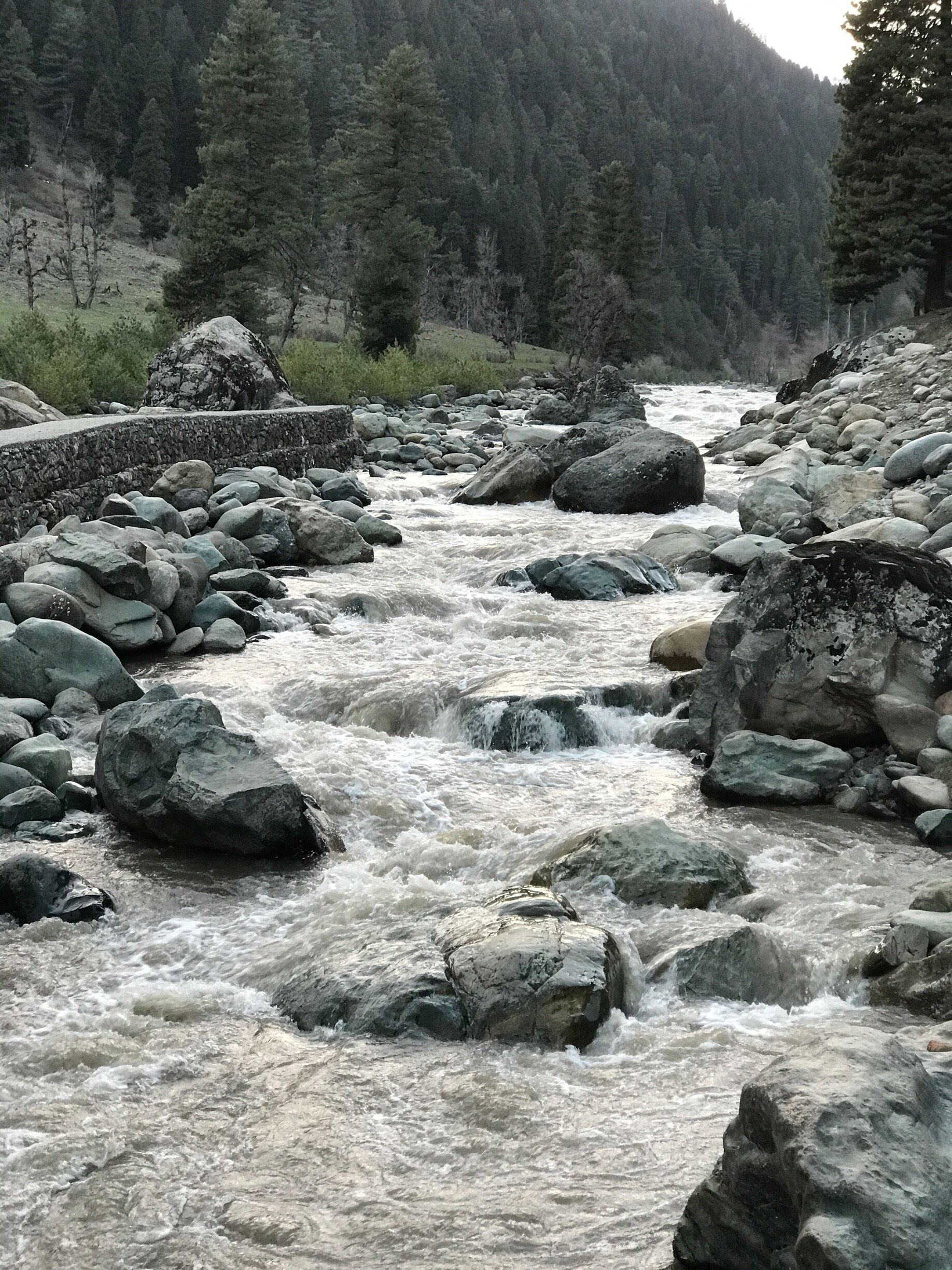 #Pahalgam #Kashmir #NaturalBeauty