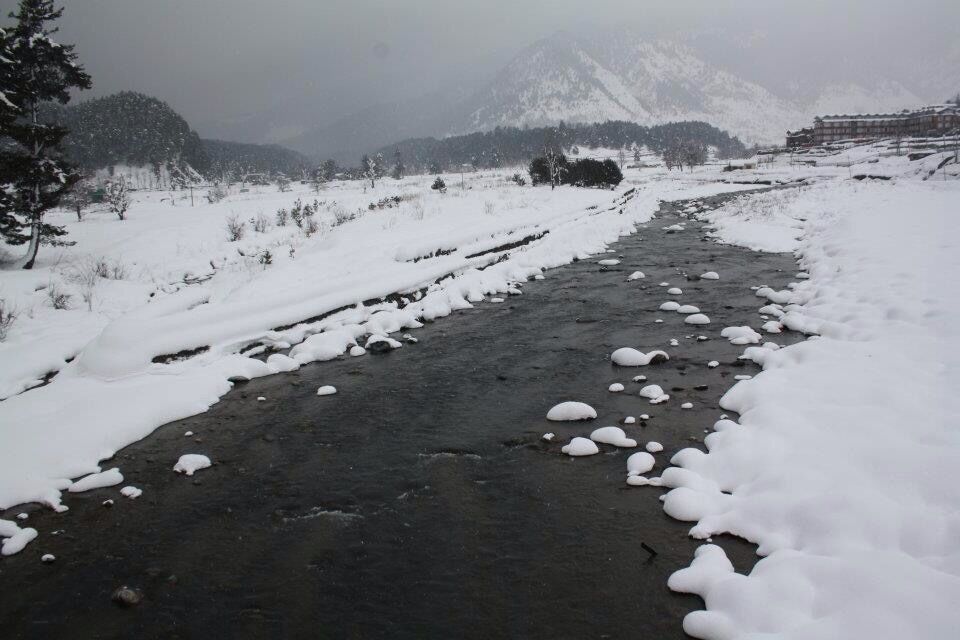 Best view of Lidder river in Pahalgam , kasmir, India #waterlust