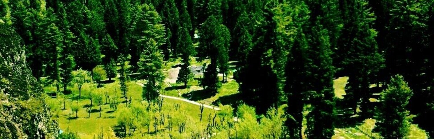 Un paisaje montañoso con un río, bosques densos y una masa de agua cristalina.