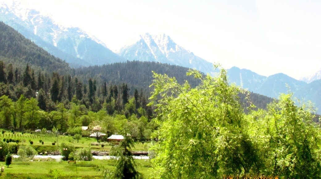 Pahalgaon in Kashmir Valley is a Natures paradise famous for the Greenery and the Lidder River passing through it.