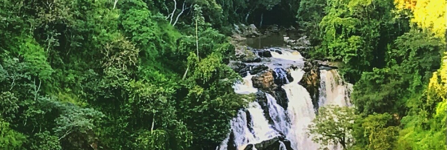 Nature at its finest â€ïž
#River Photo Challenge