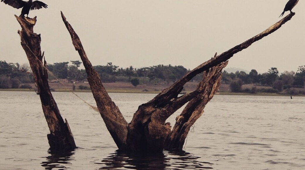 Ready to take a flight! :) @ Bandipur national park.