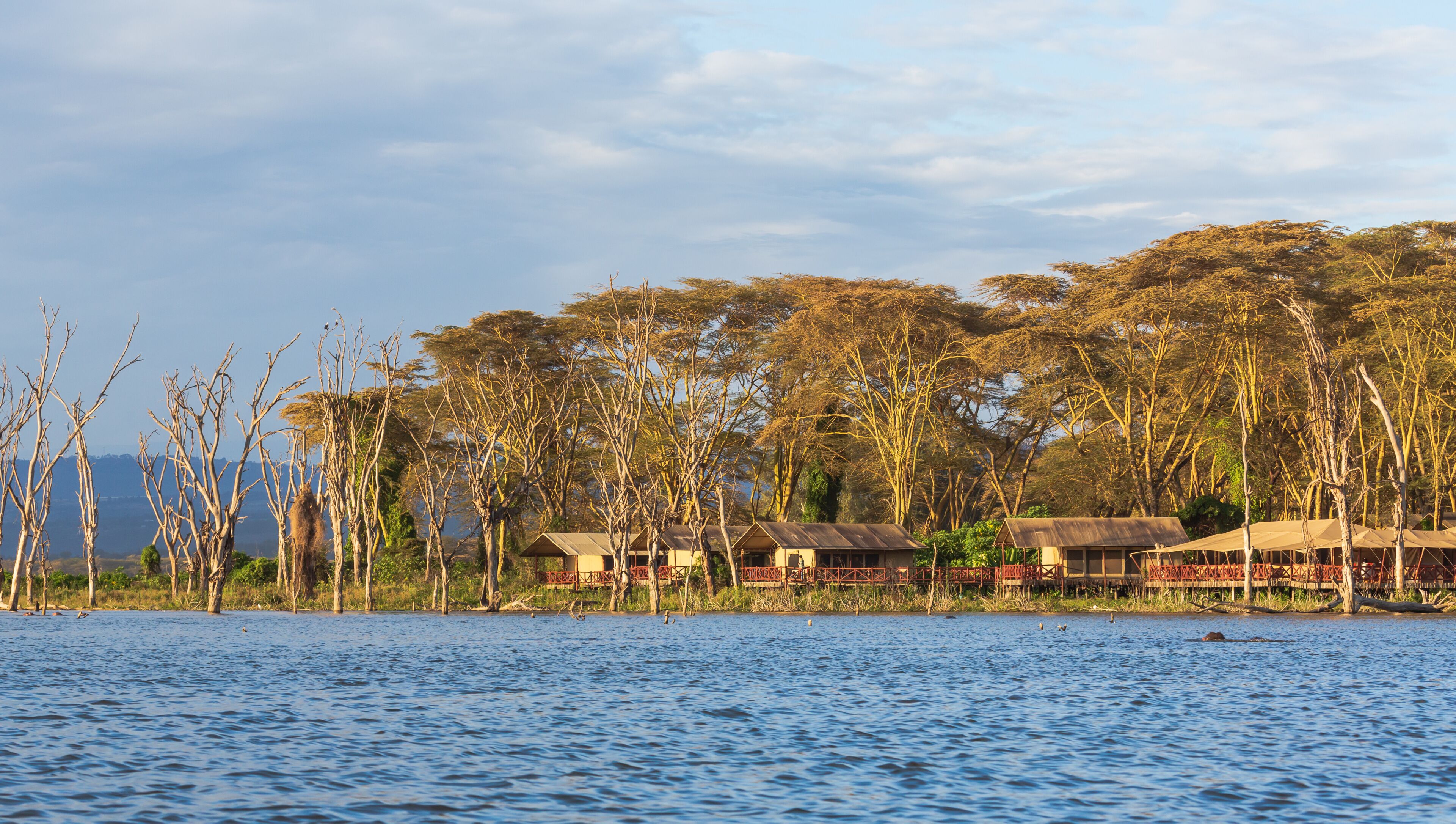 Naivasha