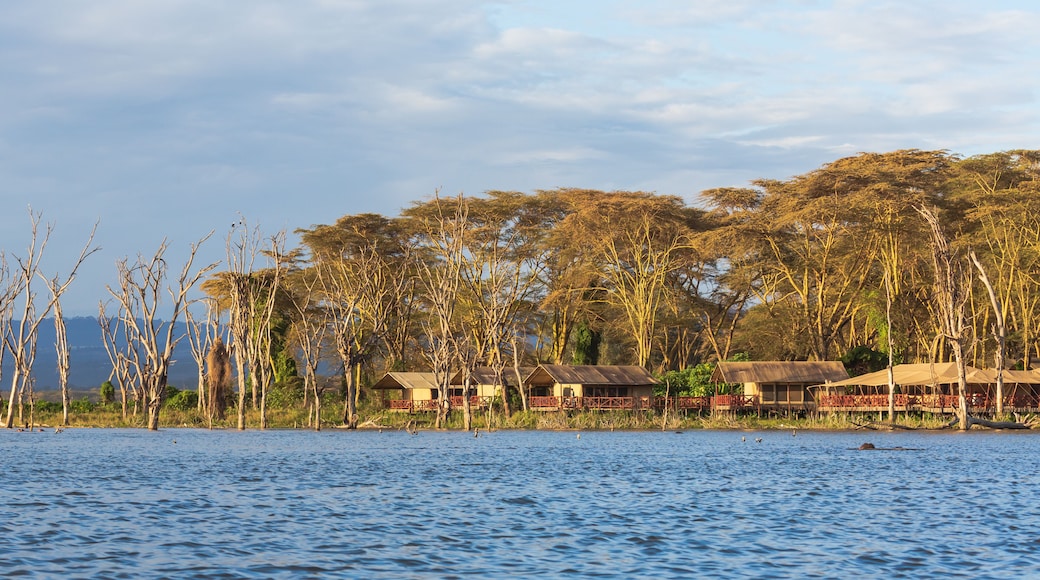 Naivasha