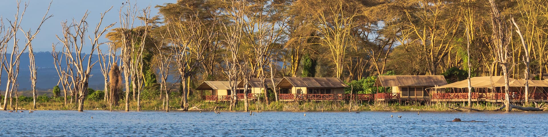 A lakeside view with trees, a clear sky, and a row of huts.