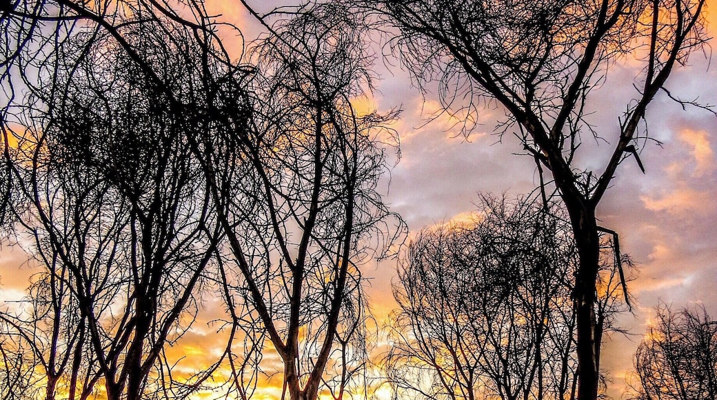 Lake Naivasha, Kenya.
