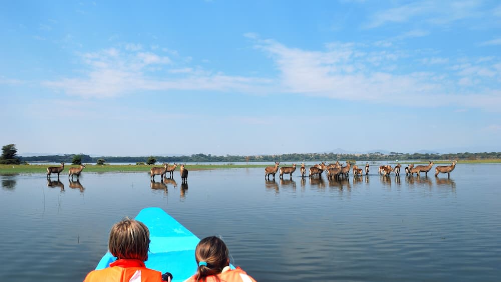 Tourists in a boat look on the antelopes waterbuck. Safari, Naivasha Lake, Kenya ; Shutterstock ID 247810003; Purchase Order: -