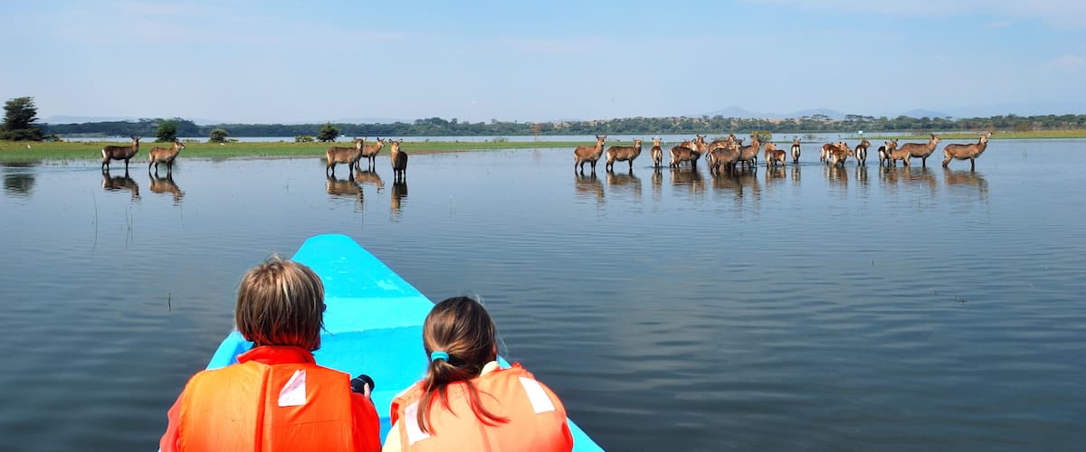 Tourists in a boat look on the antelopes waterbuck. Safari, Naivasha Lake, Kenya ; Shutterstock ID 247810003; Purchase Order: -