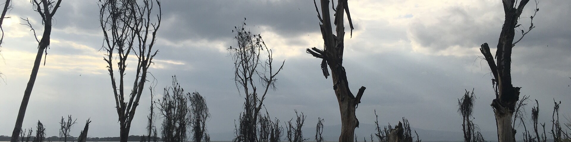 Hippos abound at Lake Naivasha, outside of Nairobi.
#outdoors