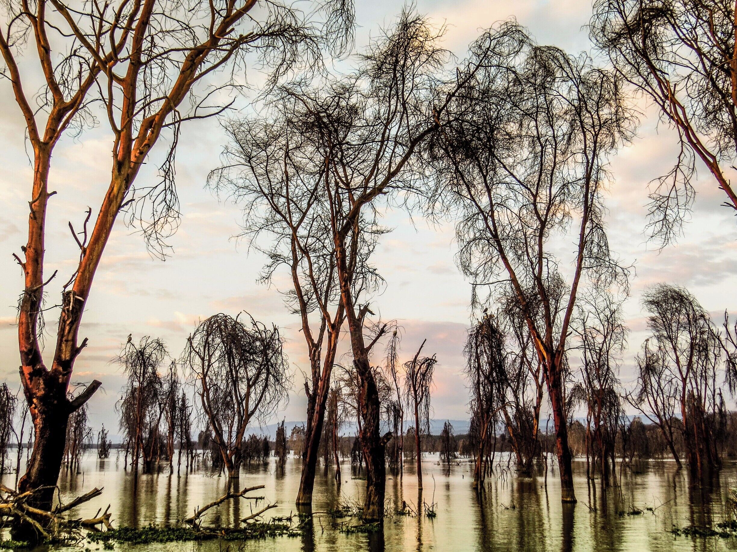 Lake Naivasha in Kenya.