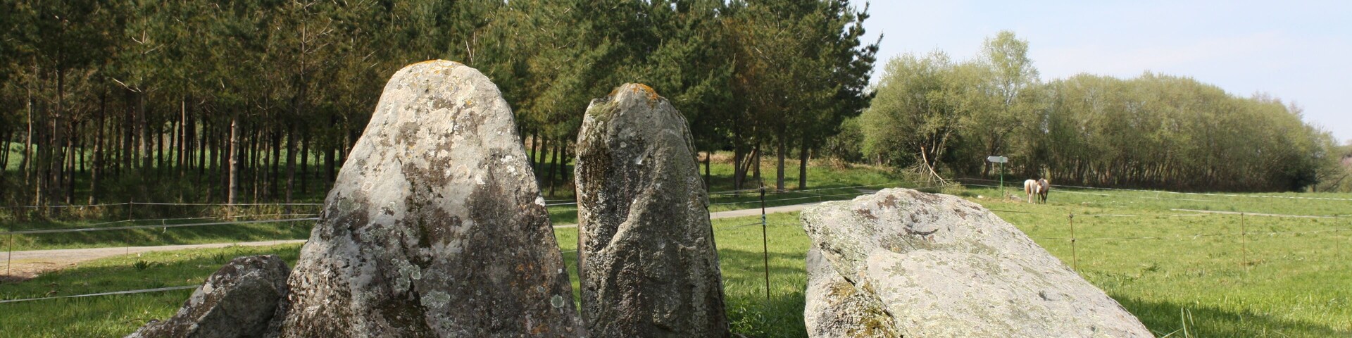 Dolmen da Pedra Moura, en Aldemunde (Carballo, A Coruña)