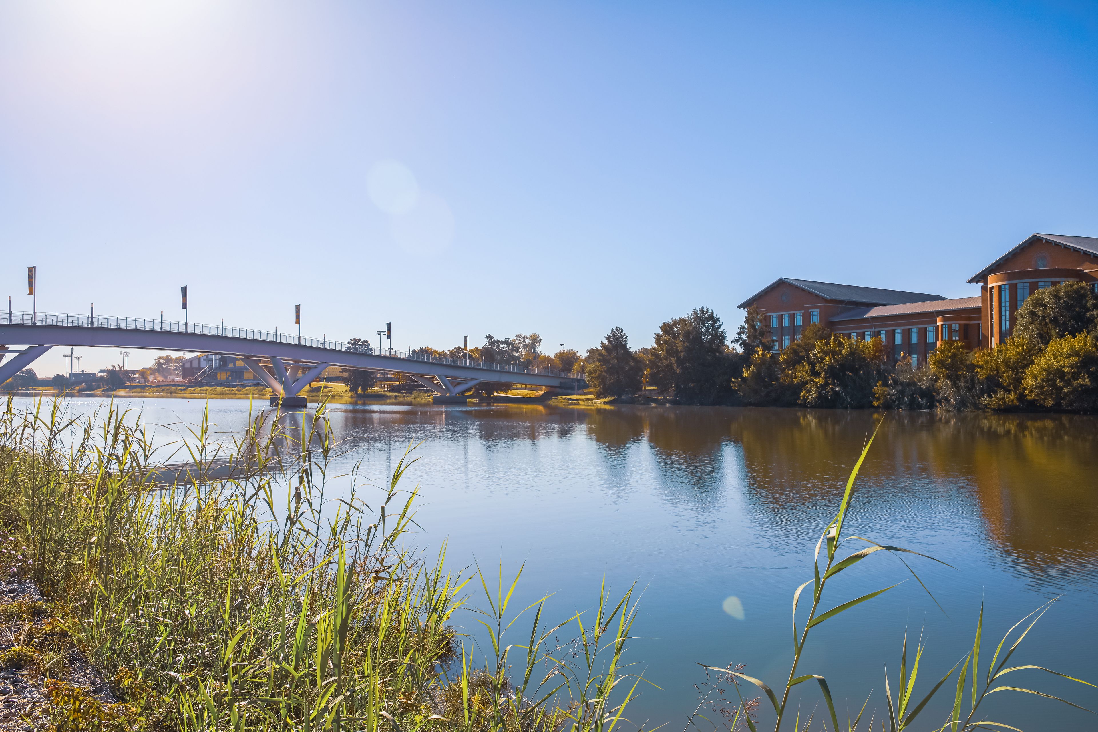 貝勒大學