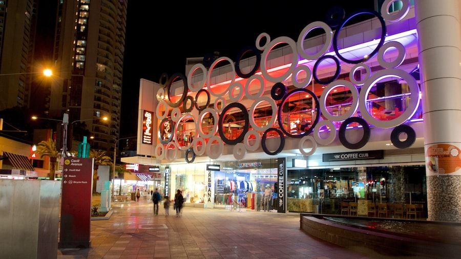Cavill Avenue featuring night scenes, a city and shopping