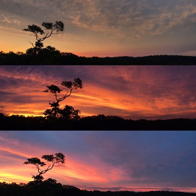 Sometimes the most spectacular place is your own front yard. #visitnc #evolutionofasunrise #sunrise #northcarolina #nothingcouldbefiner #nature #gratitude