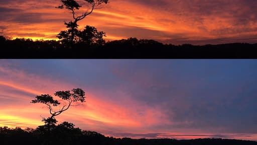 Sometimes the most spectacular place is your own front yard. #visitnc #evolutionofasunrise #sunrise #northcarolina #nothingcouldbefiner #nature #gratitude