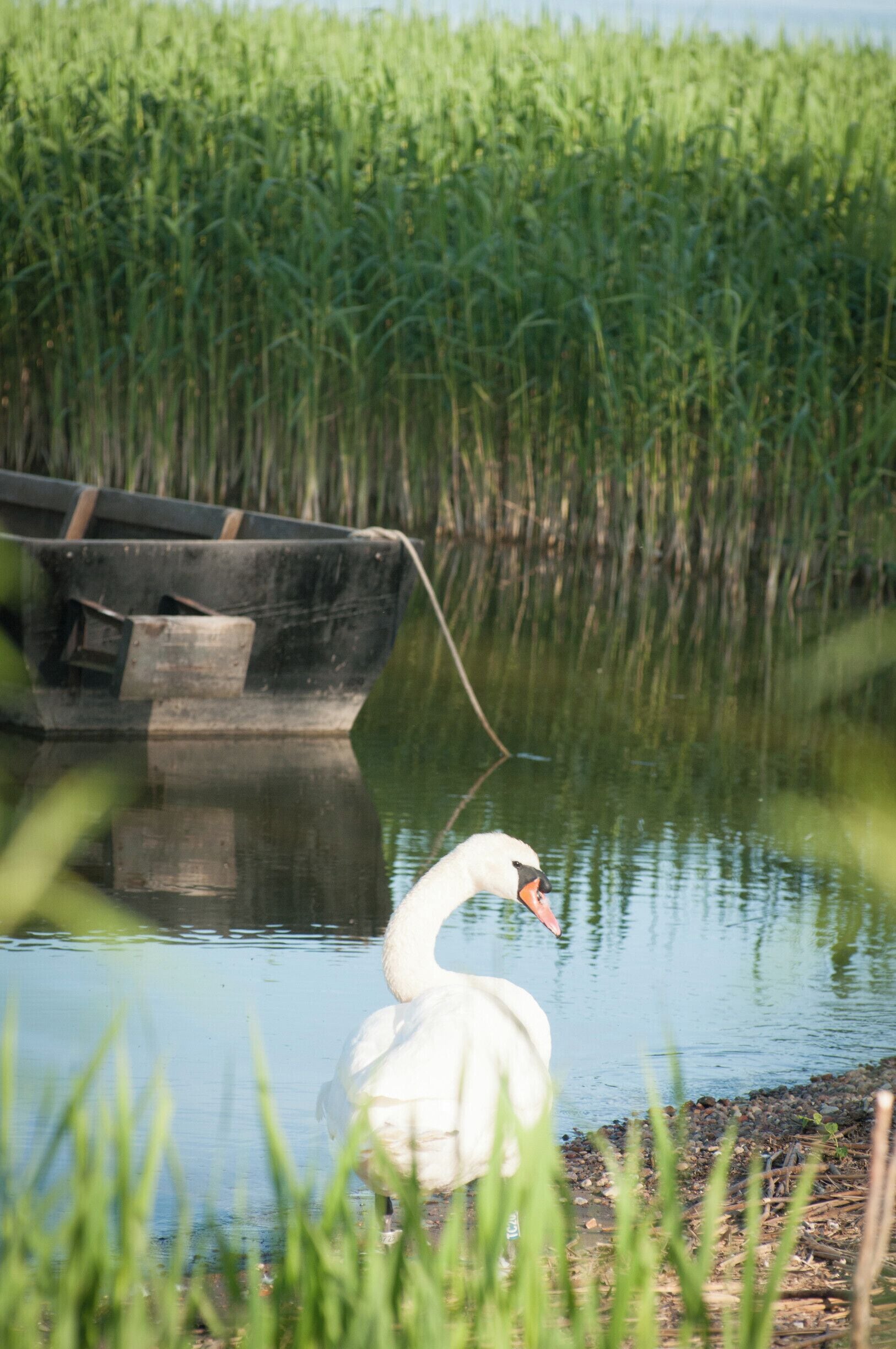 My favourite place in Lithuania: tranquil, laid-back, with the cutest set of souvenirs I got from my latest trip. The sand dunes around Nida are not to be missed and I've heard that it is a spectacular sight during winter, too!
#waterlust

P.S. Read more about my time there--
https://bit.ly/340CObI