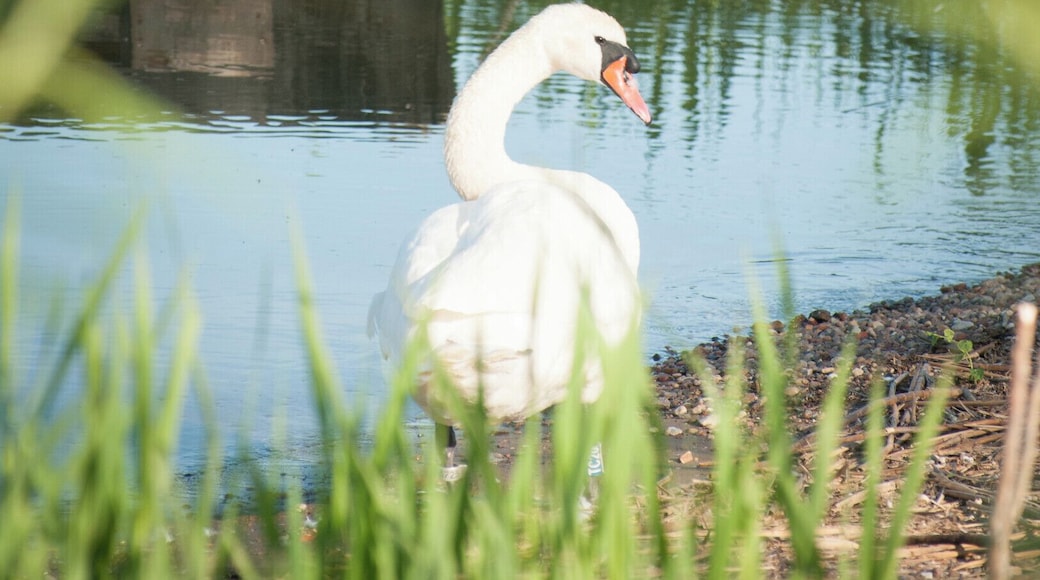 My favourite place in Lithuania: tranquil, laid-back, with the cutest set of souvenirs I got from my latest trip. The sand dunes around Nida are not to be missed and I've heard that it is a spectacular sight during winter, too!
#waterlust
P.S. Read more about my time there--
https://bit.ly/340CObI