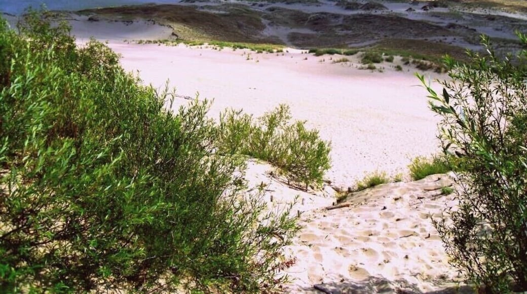 #LifeAtExpedia contests
Best Escape Anyone Can Have!