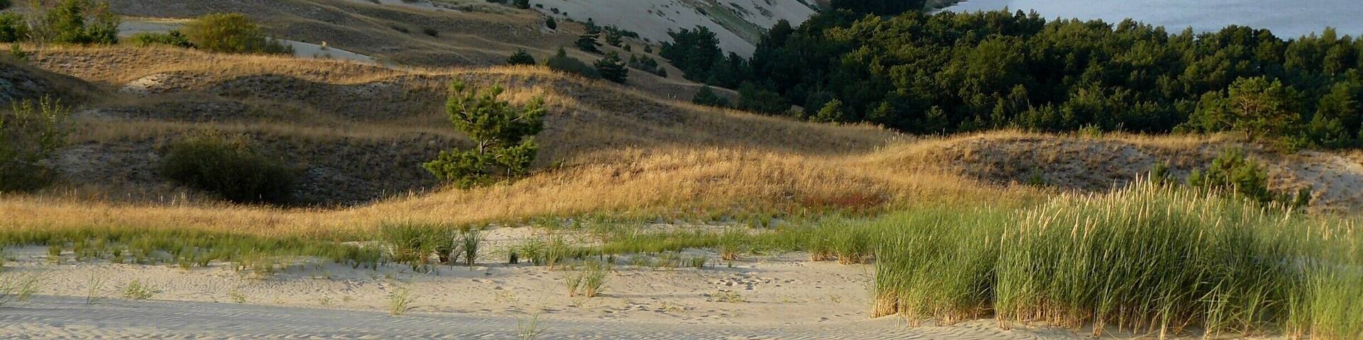 The Curonian Spit (also called Neringa) is a UNESCO World Heritage Site. One of the most beautiful places in it is the Nagliai nature reserve (between Pervalka and Juodkrante), known for the “Dead Dunes”.