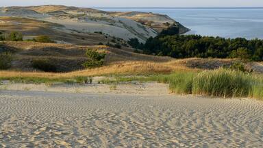 Un paysage côtier caractérisé par des dunes de sable, des zones herbeuses et une vue sur l’océan.