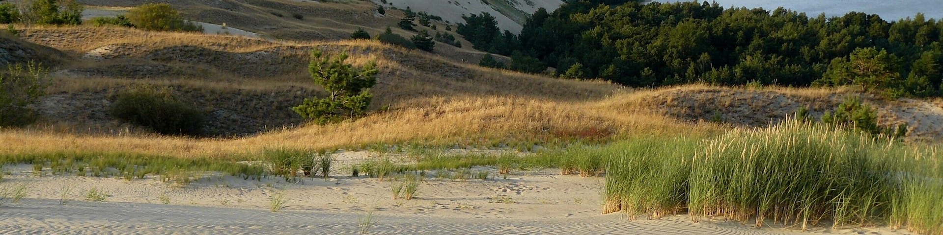 The Curonian Spit (also called Neringa) is a UNESCO World Heritage Site. One of the most beautiful places in it is the Nagliai nature reserve (between Pervalka and Juodkrante), known for the “Dead Dunes”.