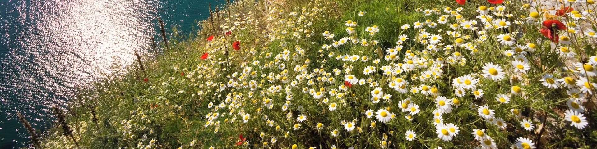 Cape Kaliakra, Black Sea, Bulgaria, Europe