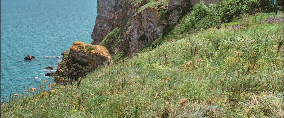 A coastal stone fortification with a tower, surrounded by grassy terrain and overlooking the sea.
