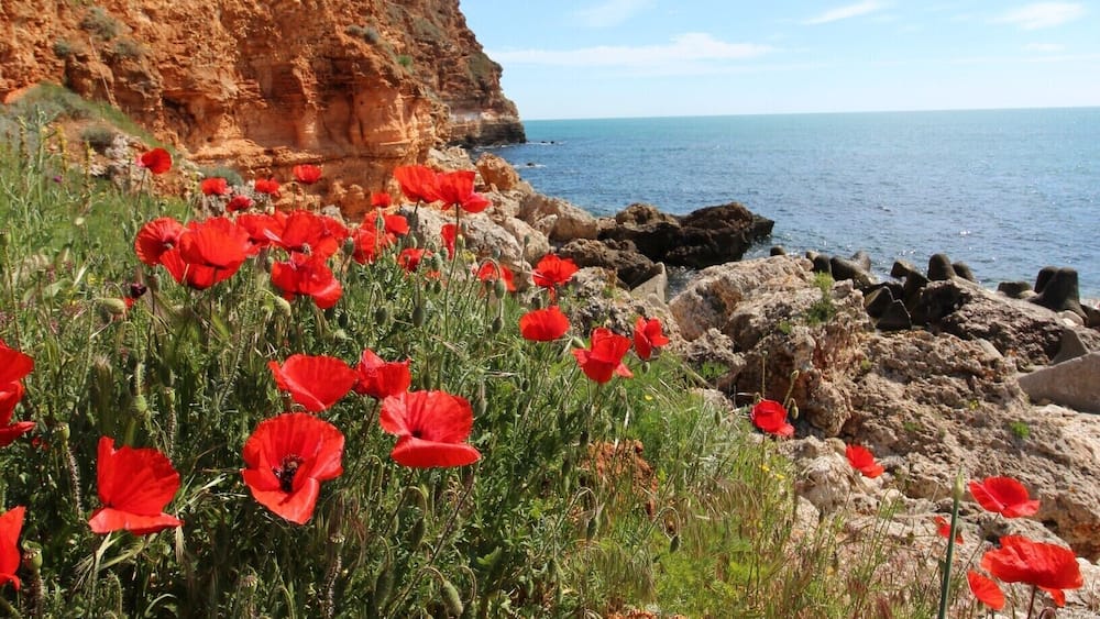 The highly underrated, but extremely surprising Kavarna area of Bulgaria - read all about it: http://cityoftheweek.net/category/kavarna/