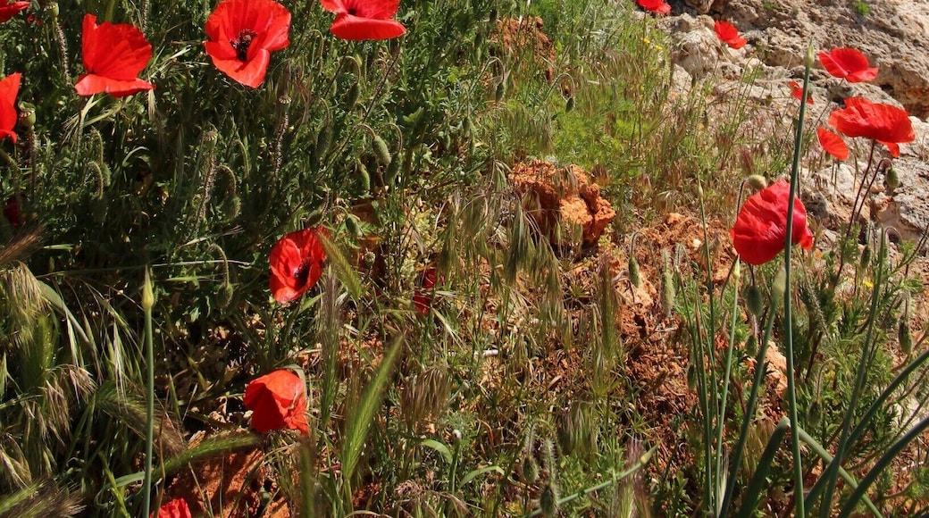 The highly underrated, but extremely surprising Kavarna area of Bulgaria - read all about it: http://cityoftheweek.net/category/kavarna/