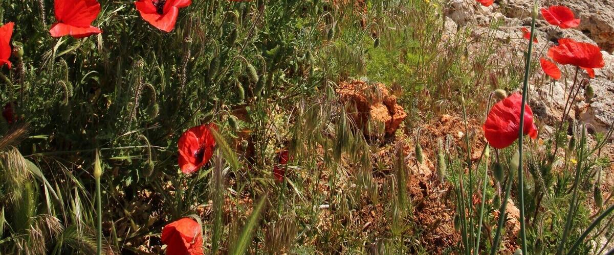 The highly underrated, but extremely surprising Kavarna area of Bulgaria - read all about it: http://cityoftheweek.net/category/kavarna/