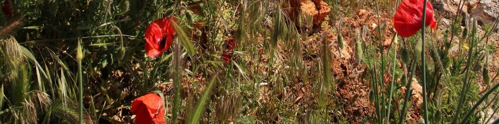 The highly underrated, but extremely surprising Kavarna area of Bulgaria - read all about it: http://cityoftheweek.net/category/kavarna/