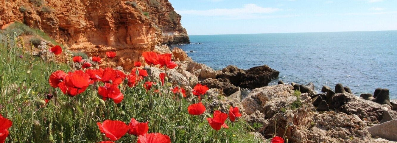 The highly underrated, but extremely surprising Kavarna area of Bulgaria - read all about it: http://cityoftheweek.net/category/kavarna/