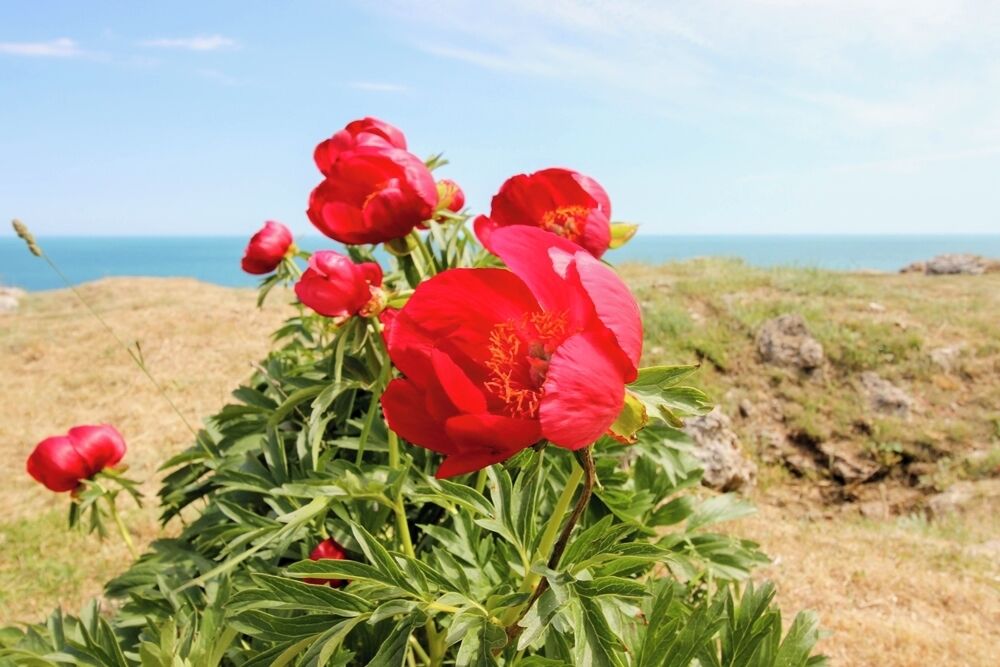 The highly underrated, but extremely surprising Kavarna area of Bulgaria - read all about it: http://cityoftheweek.net/category/kavarna/