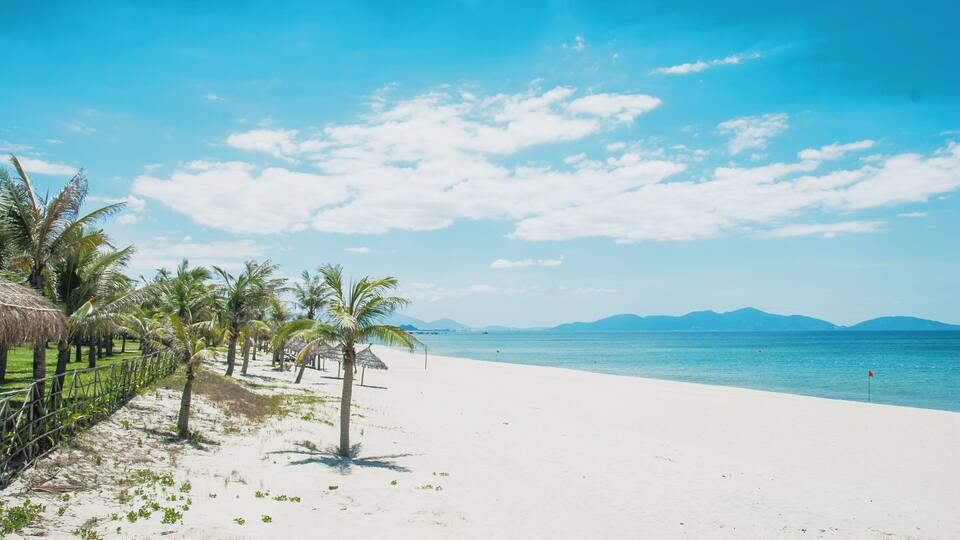 A beach with white sand, palm trees, and a clear blue sky.