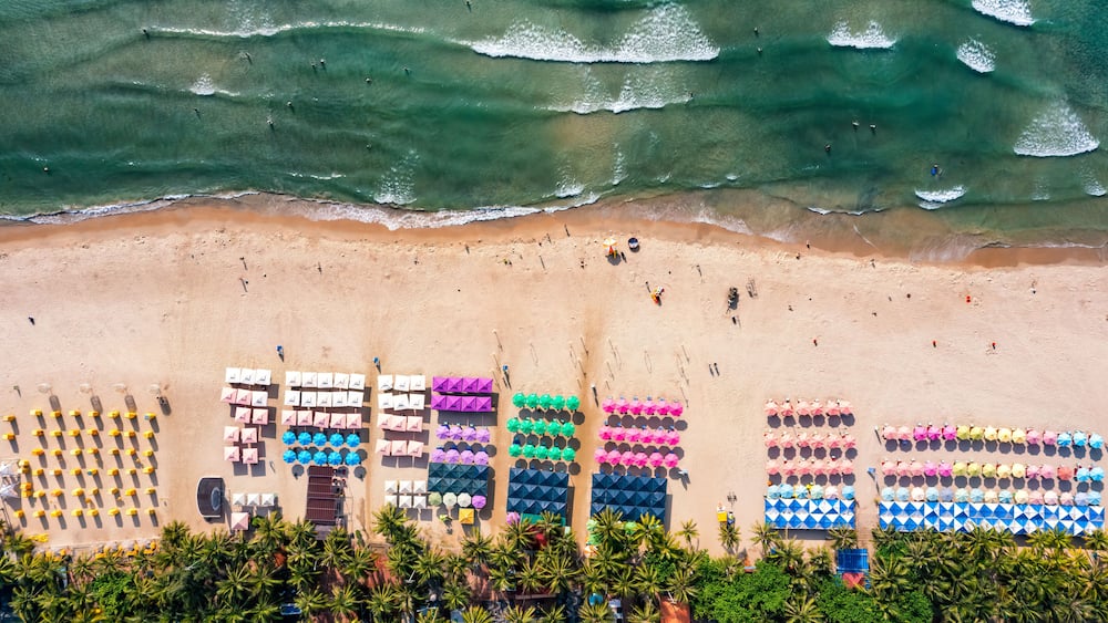 A beach with rows of colorful umbrellas and chairs, palm trees, and waves.