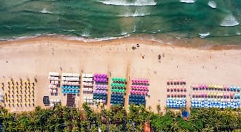 A beach with rows of colorful umbrellas and chairs, palm trees, and waves.