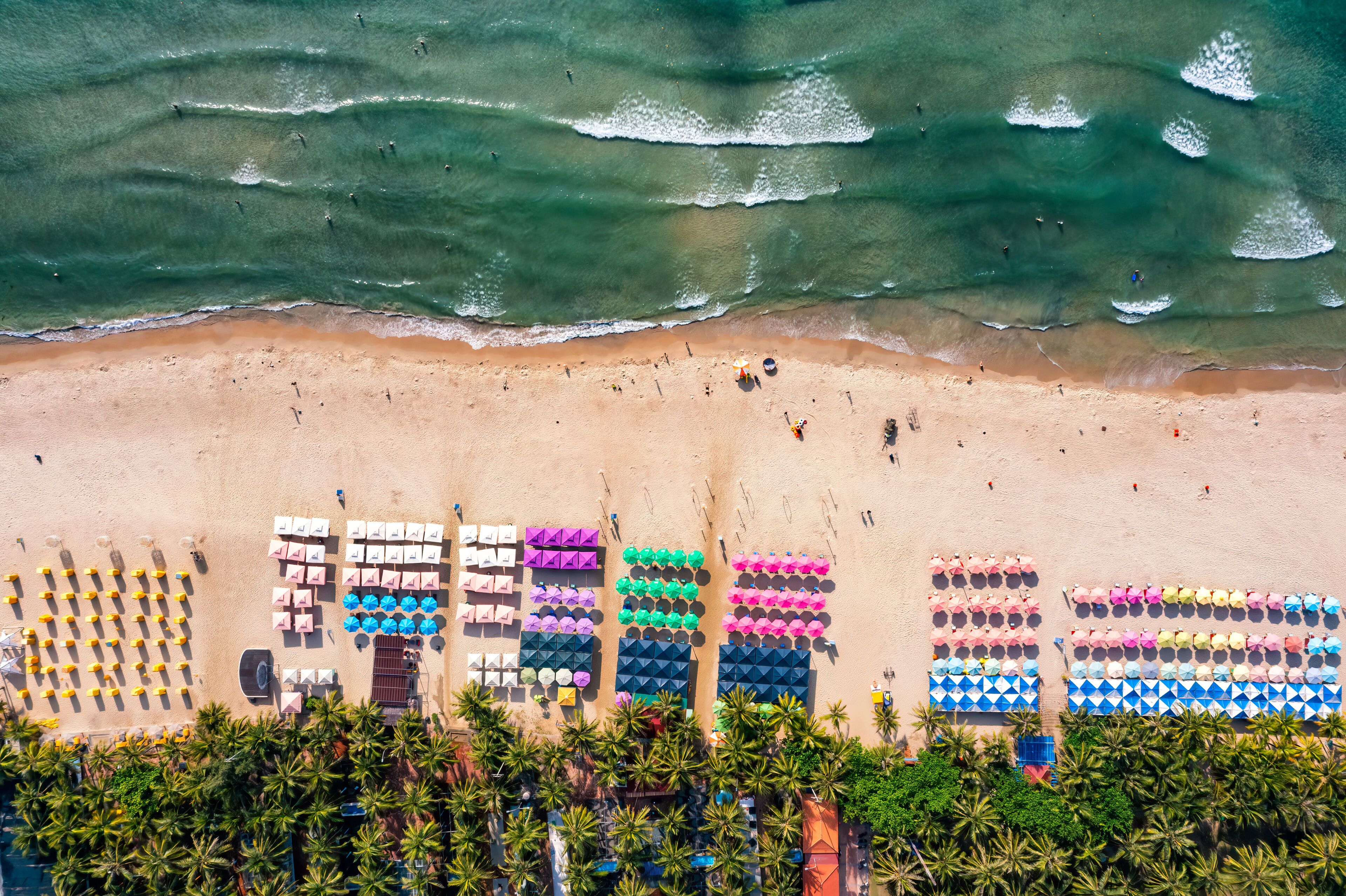 A beach with rows of colorful umbrellas and chairs, palm trees, and waves.